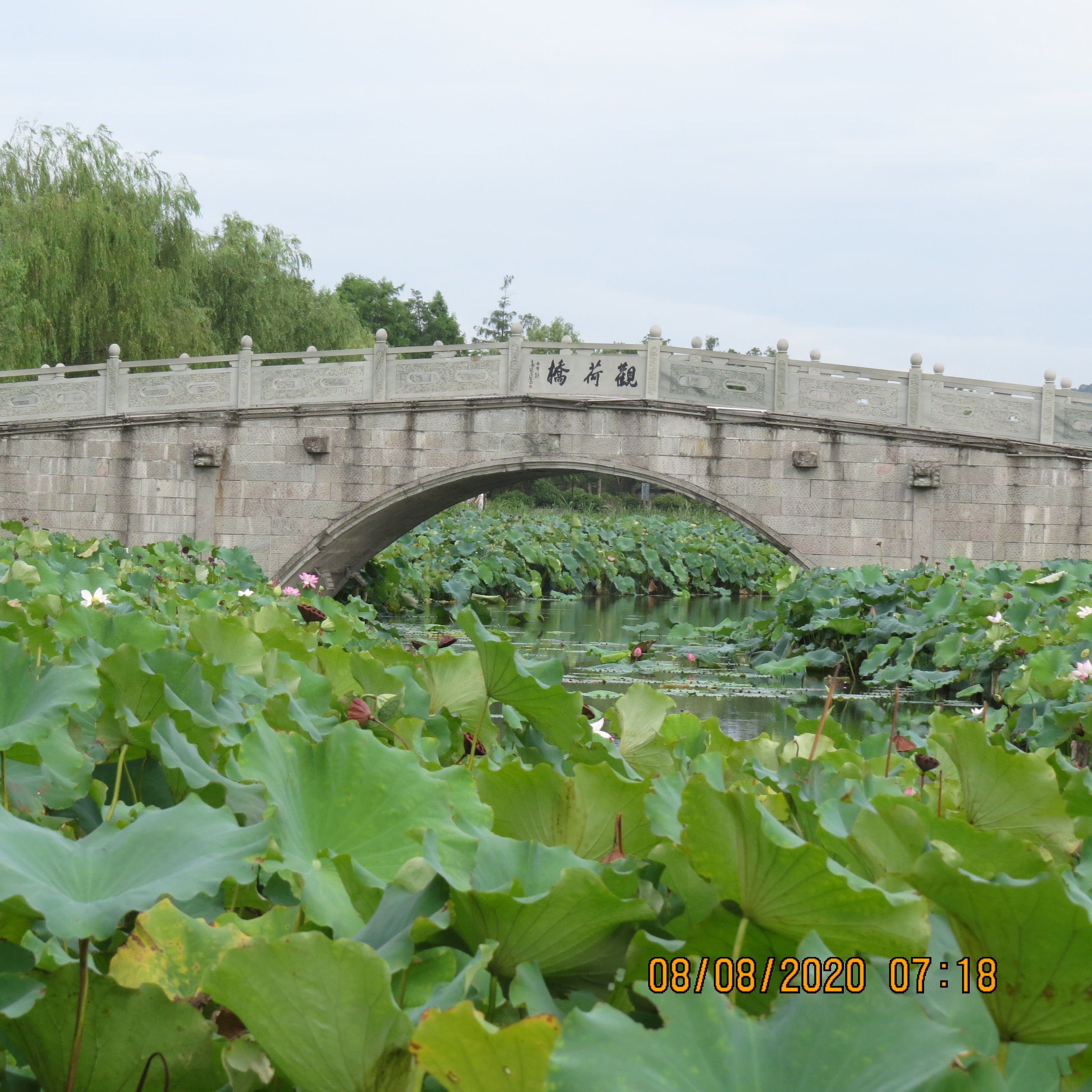 IMG_9789.JPG