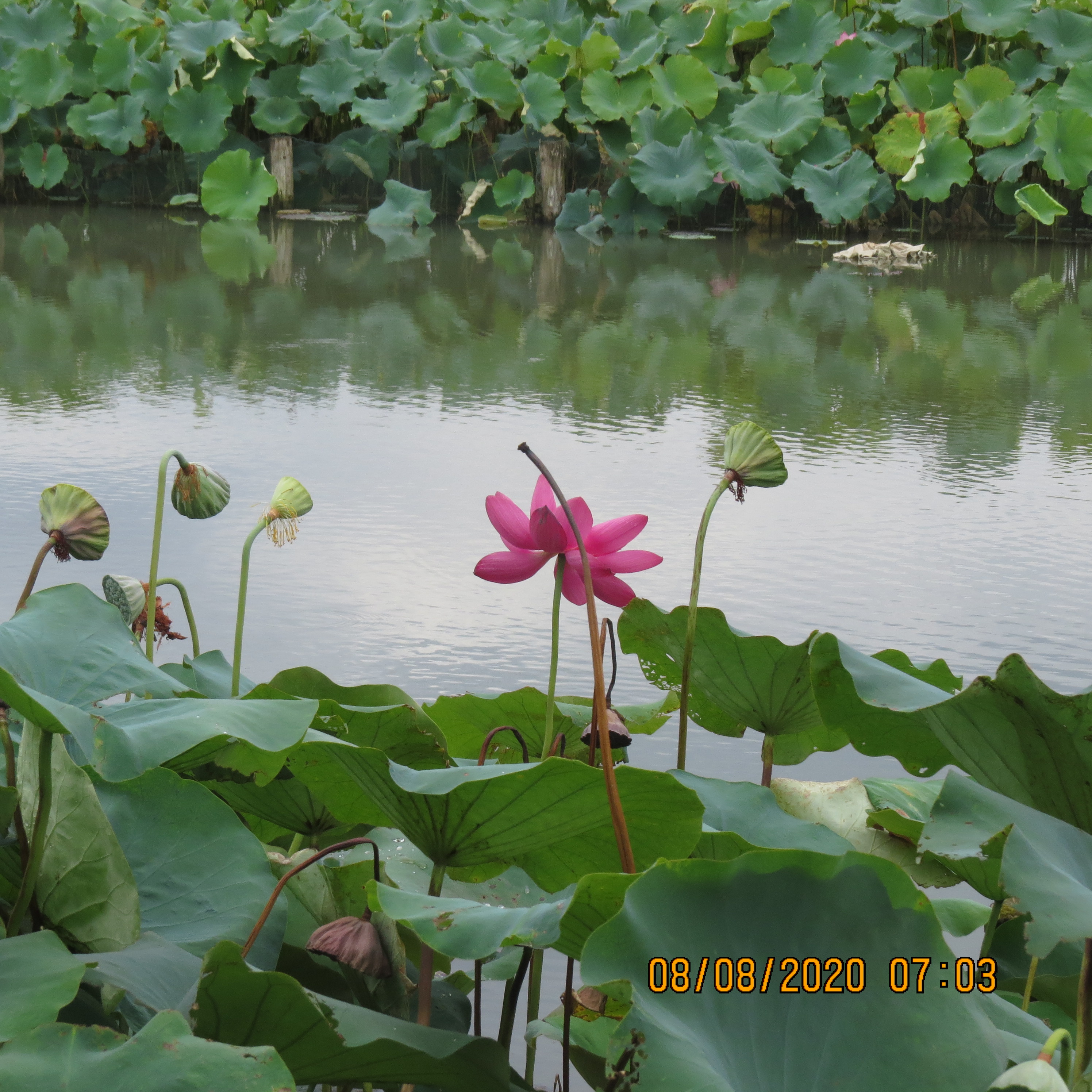 IMG_9753.JPG