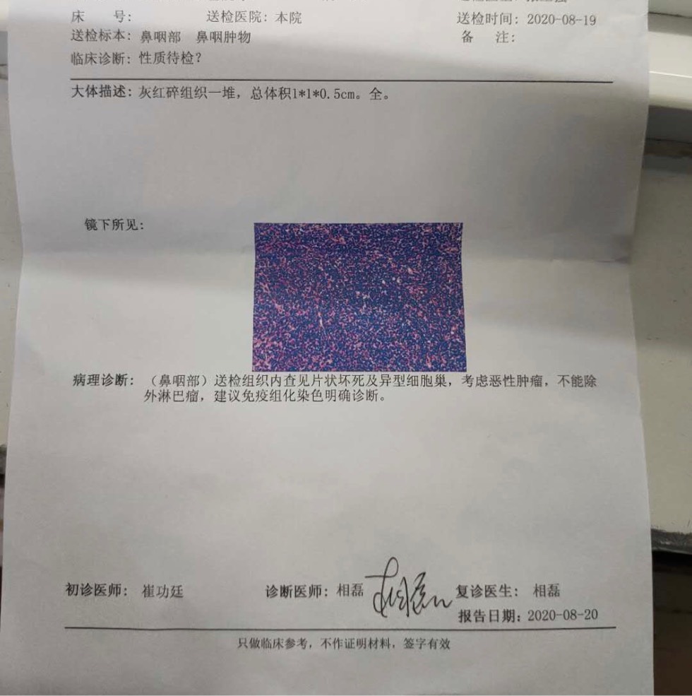 211300ergnzgzwt8shwro8.jpg