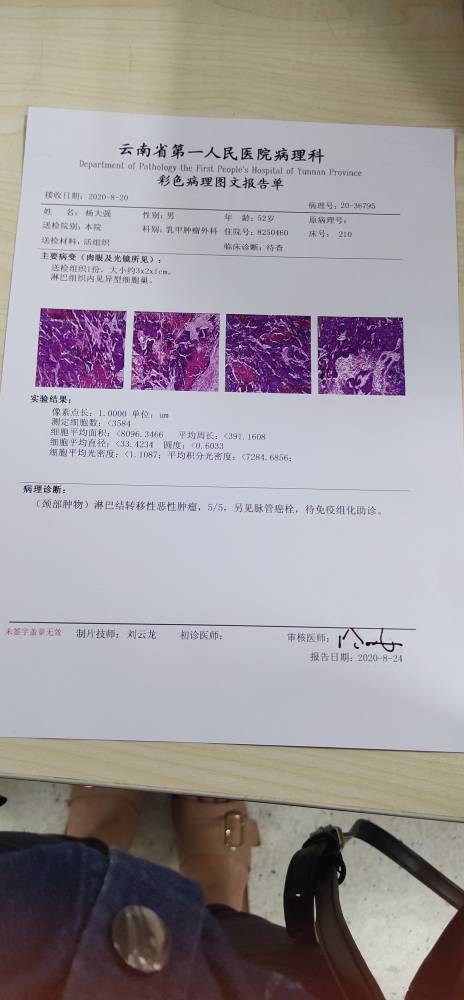 155702gudljed4jnj2ln9d.jpg
