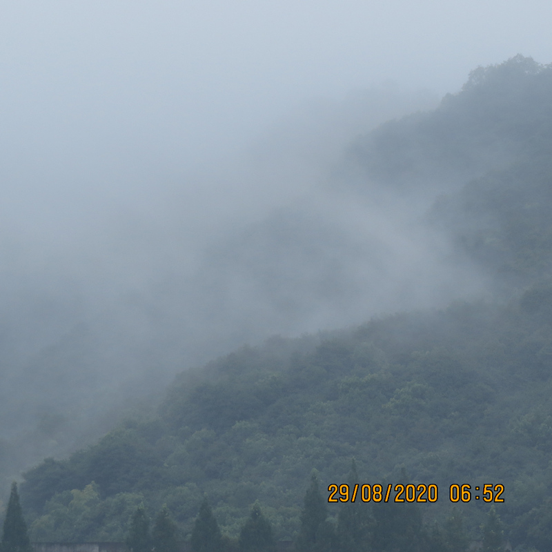 IMG_9848.JPG