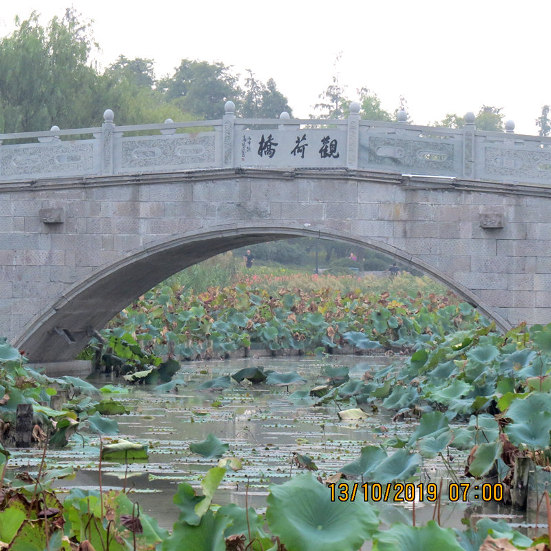 微信图片_20191021084457.jpg