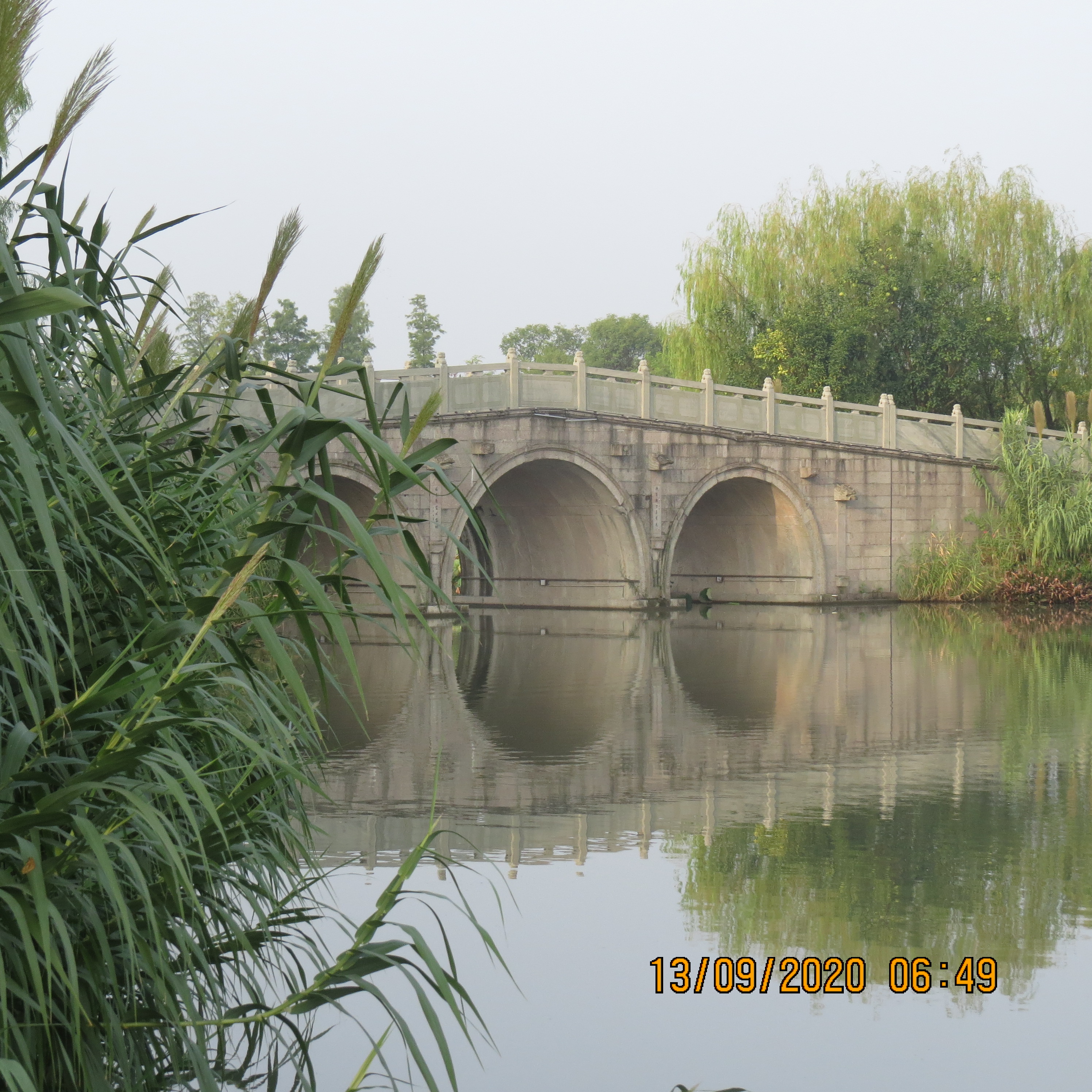 IMG_9894.JPG