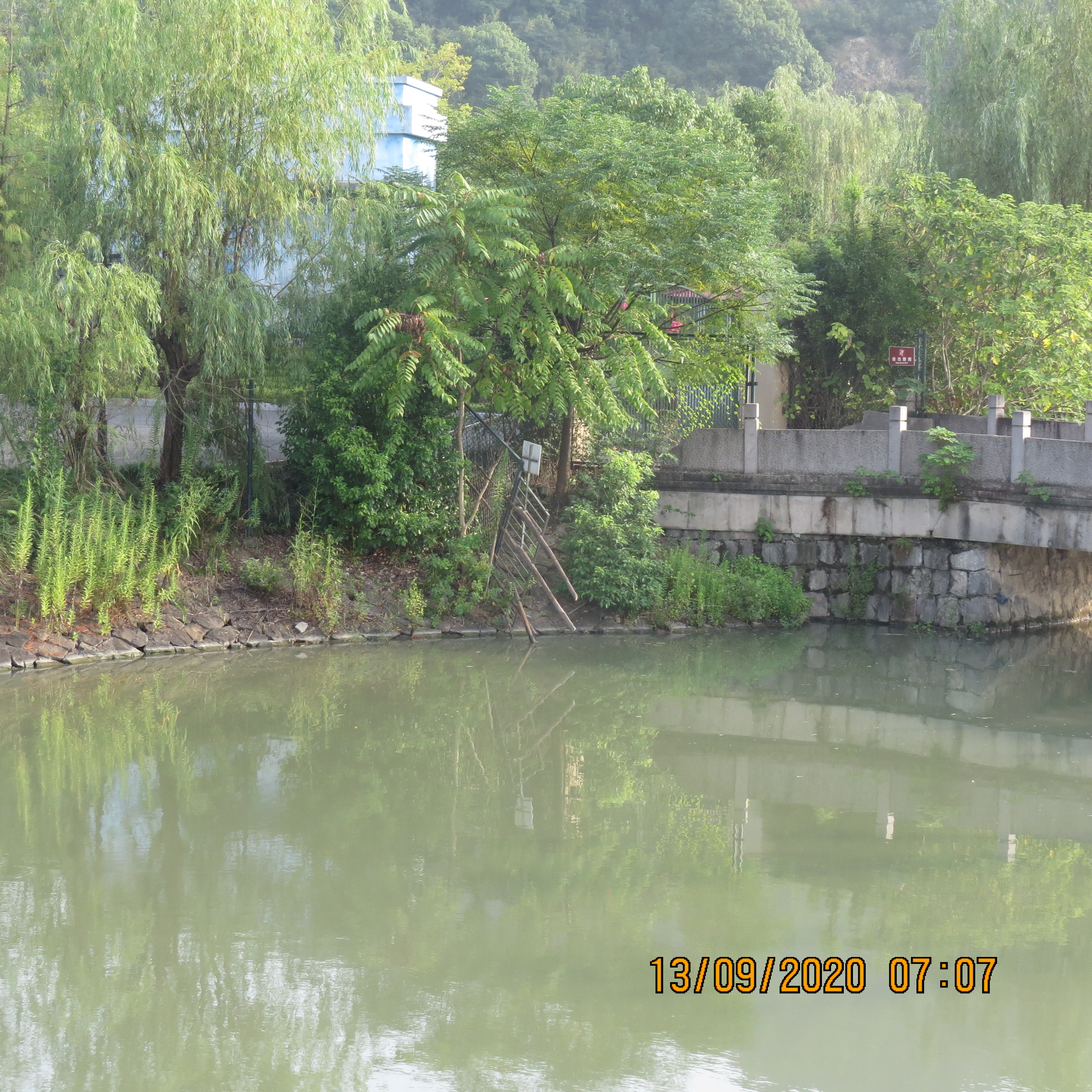 IMG_9920.JPG