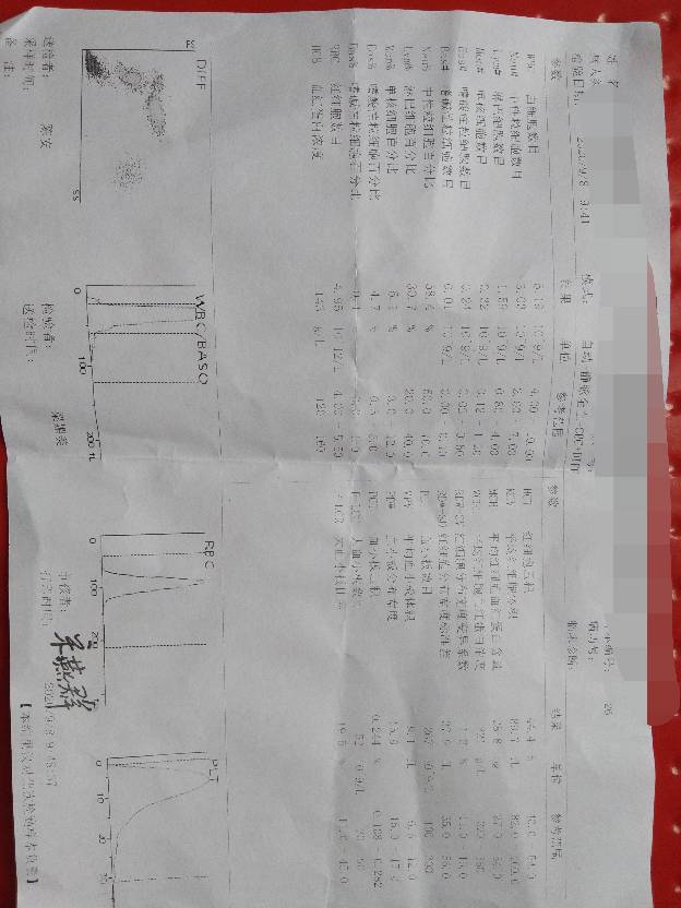 094318jp4cwk18k8rgghmk.jpg