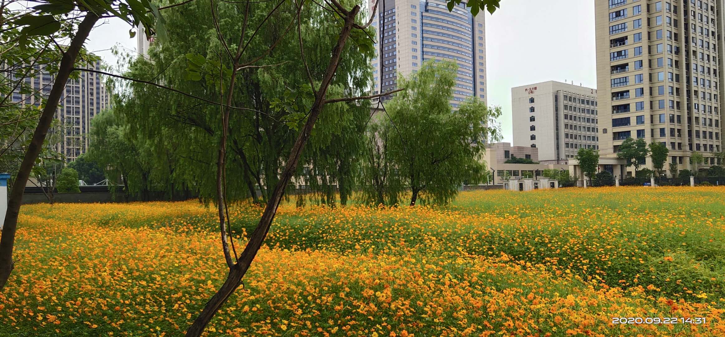360截图20200119064609159.jpg