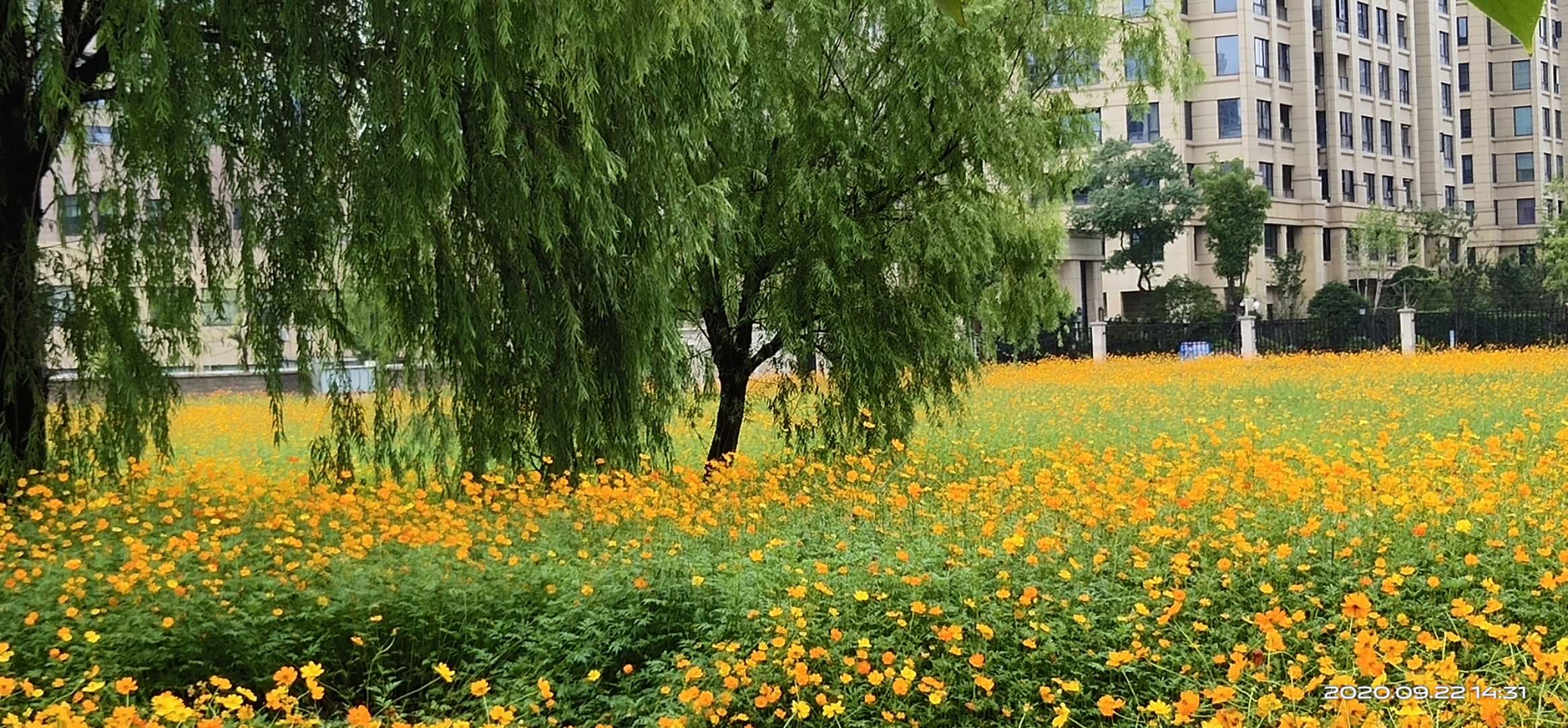 360截图20200120064557701.jpg