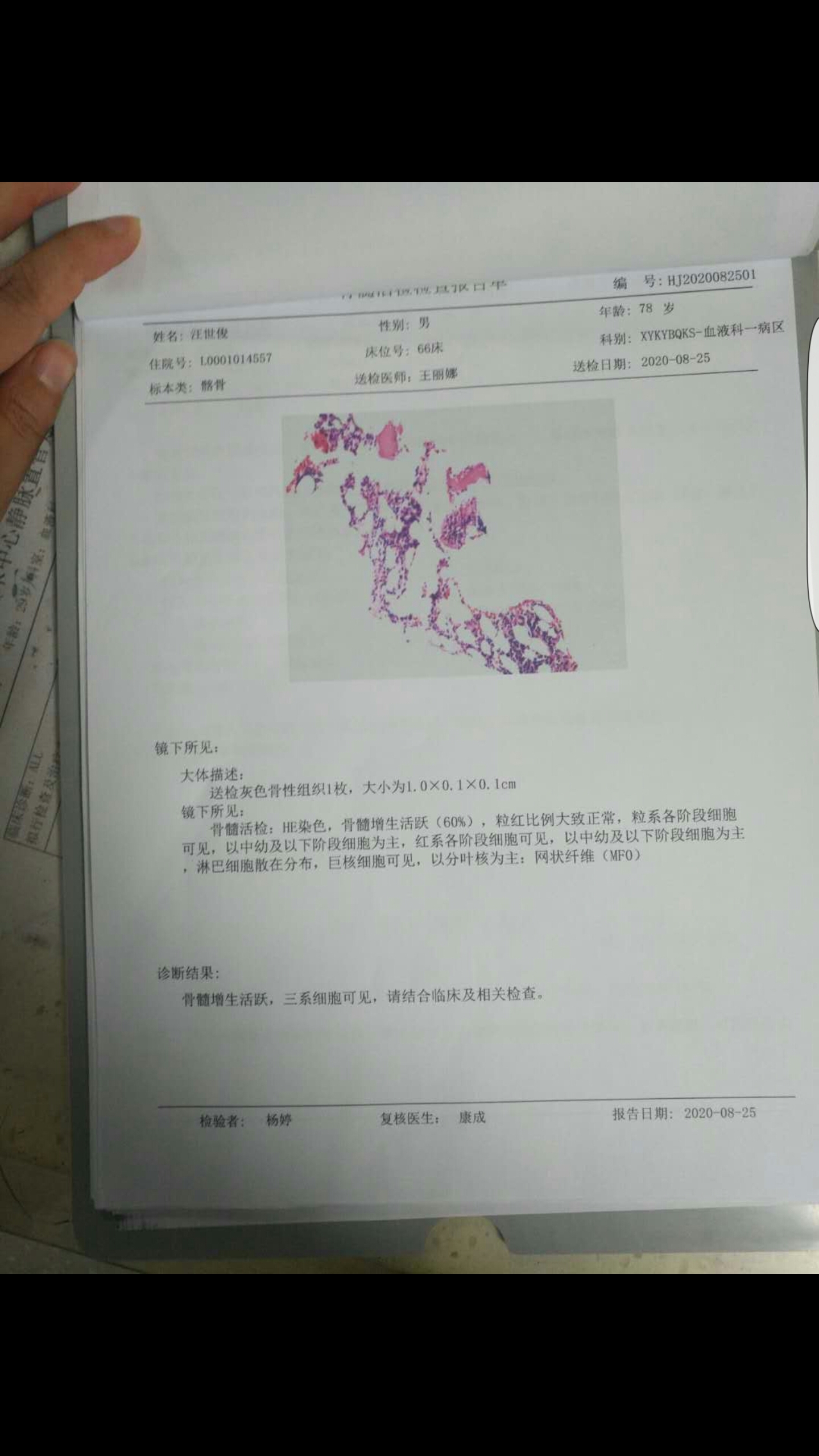 081539eyg3rijfmiiufrj3.jpg