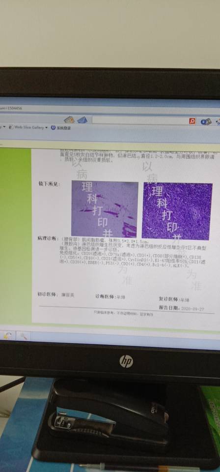 175242cc1fsccguv507mfu.jpg