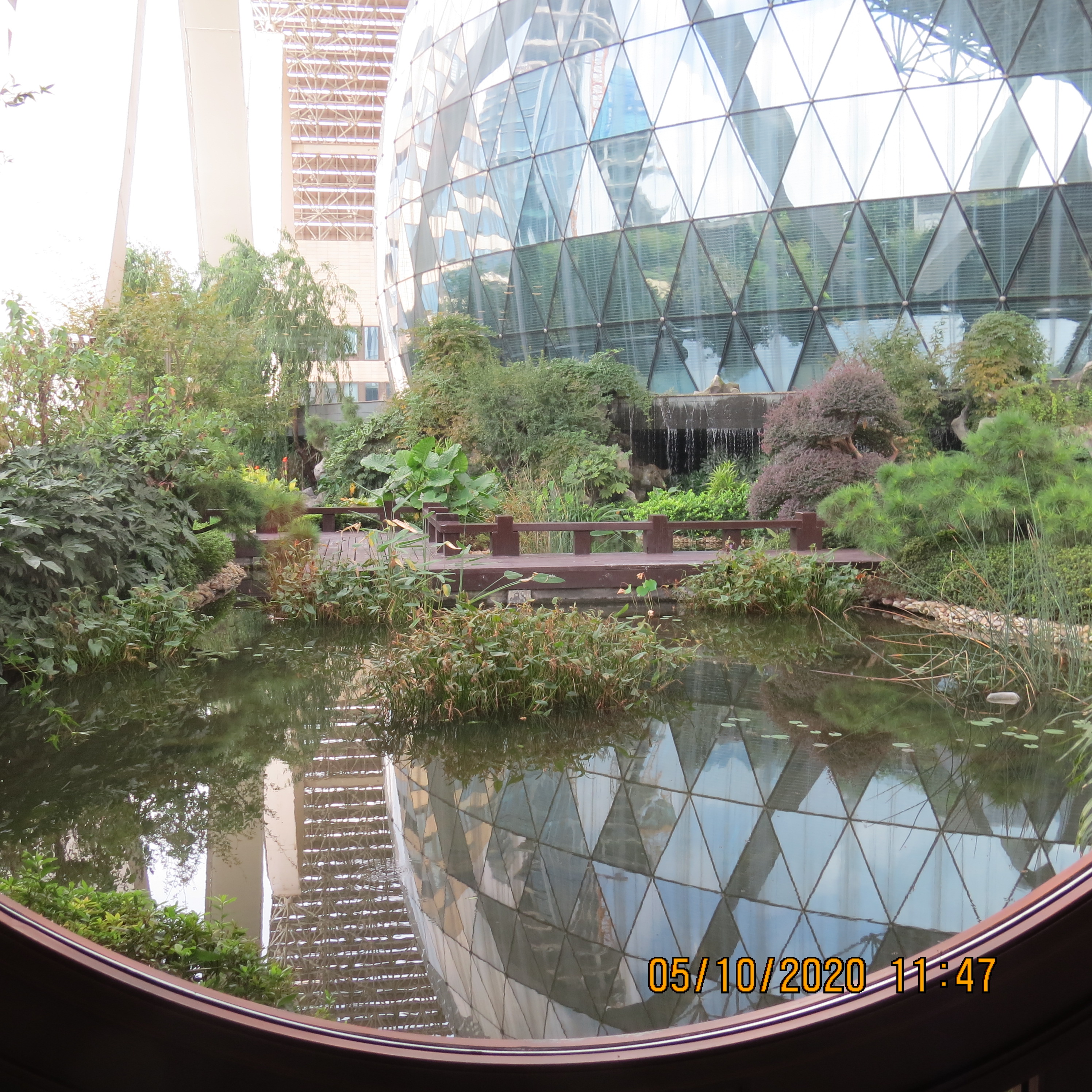 IMG_9988.JPG
