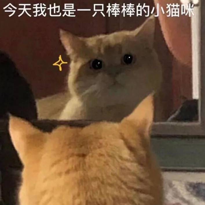 113644dw3xtgnb3gngwxg8.jpg