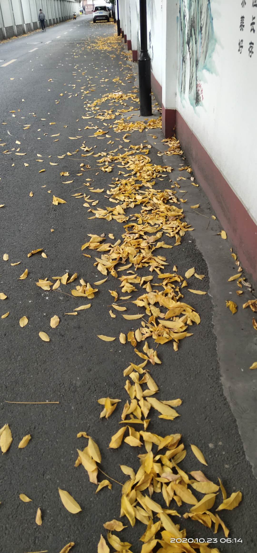 微信图片_20190312152835.jpg