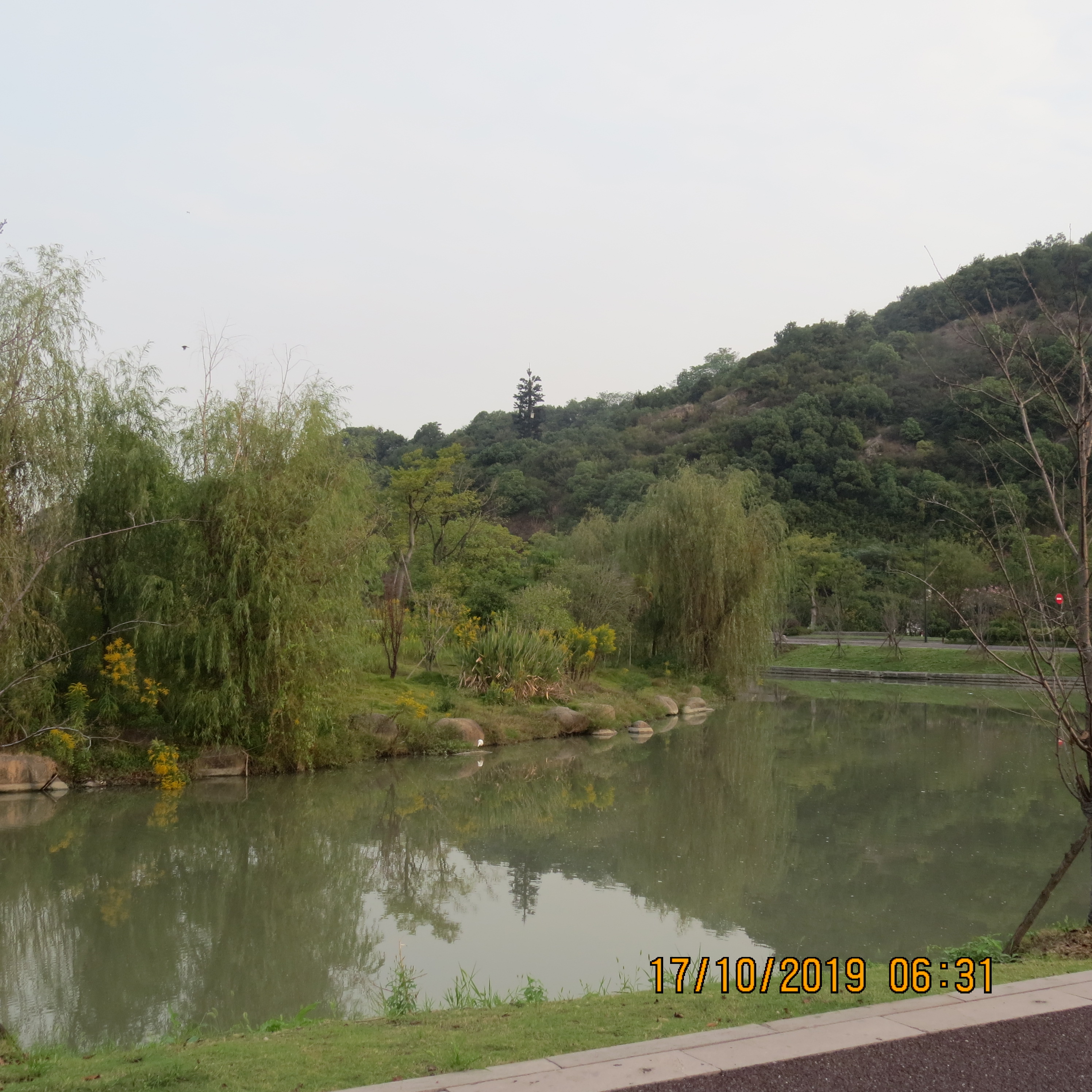 IMG_9265.JPG