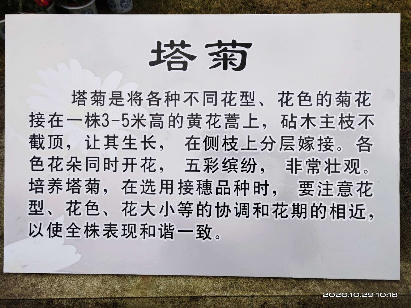 微信图片_20201029165603.jpg