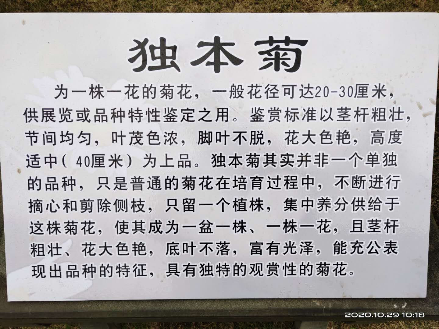 微信图片_20201029165615.jpg