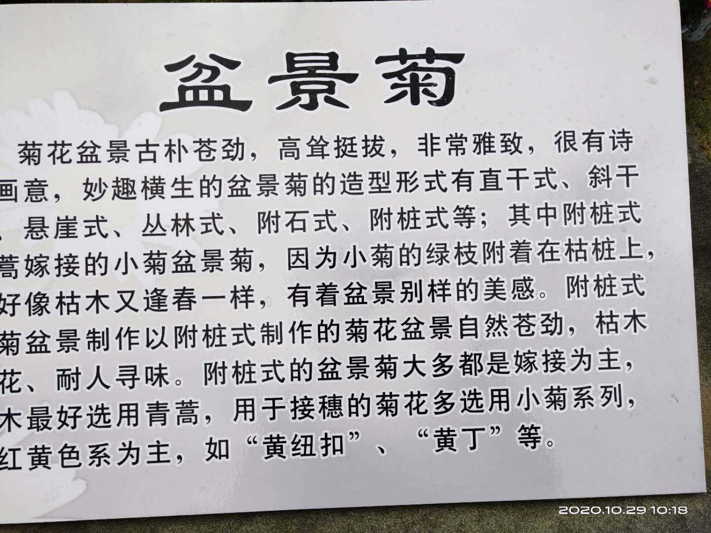 微信图片_20201029165610.jpg