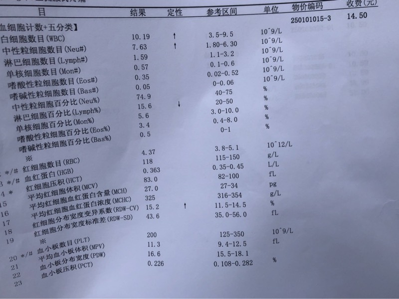 084431jiypx9u0jp3boex5.jpg