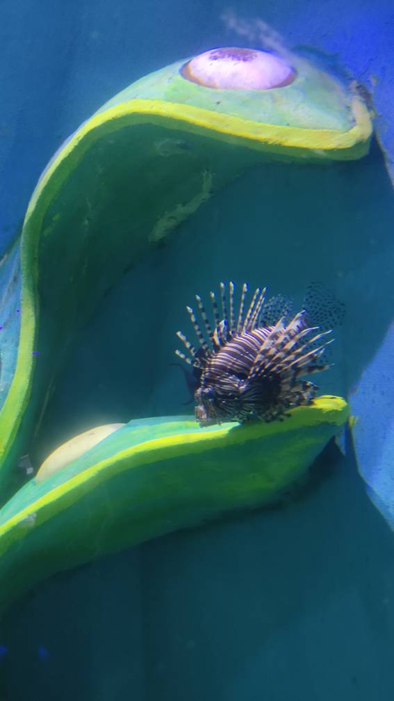 120124d1rps0n80piygtg8.jpg