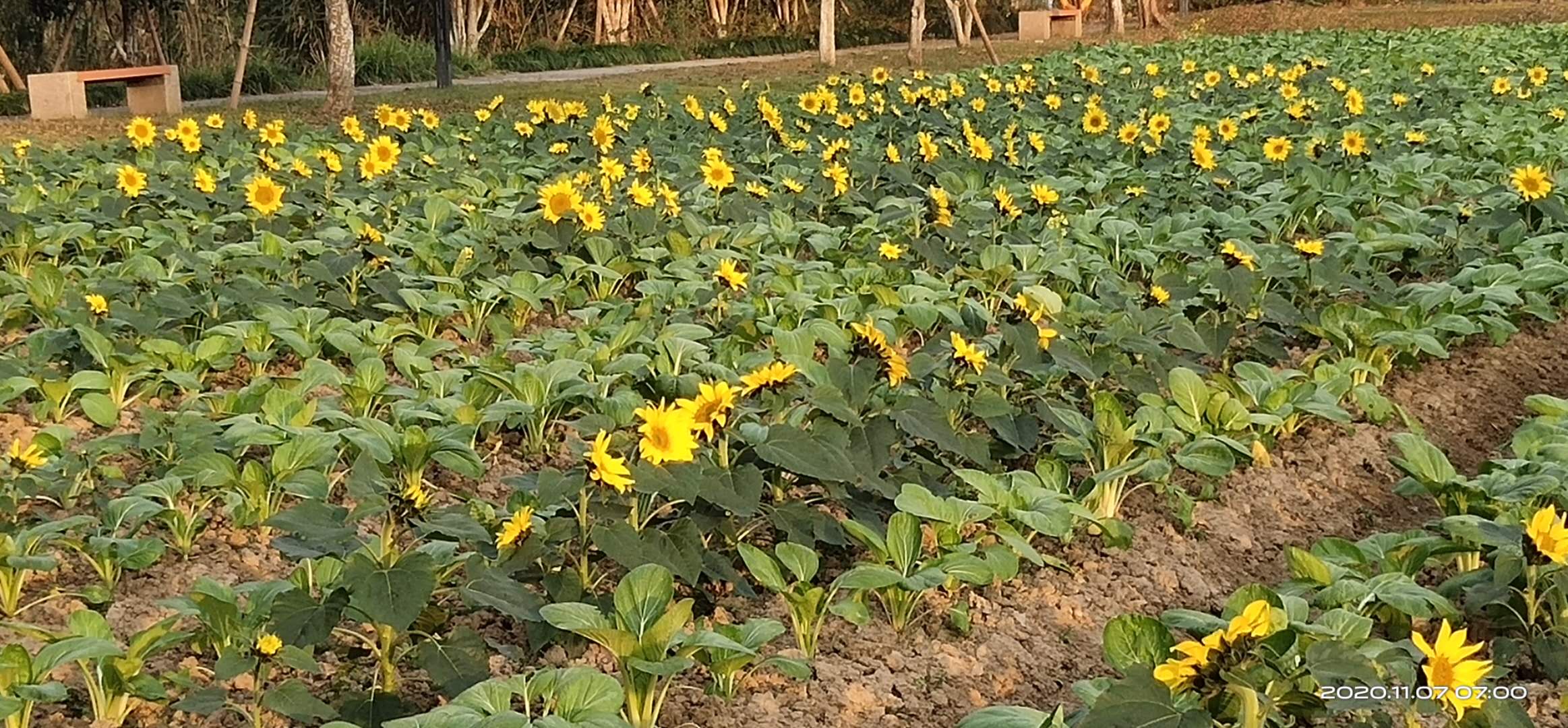 微信图片_20201107101506.jpg