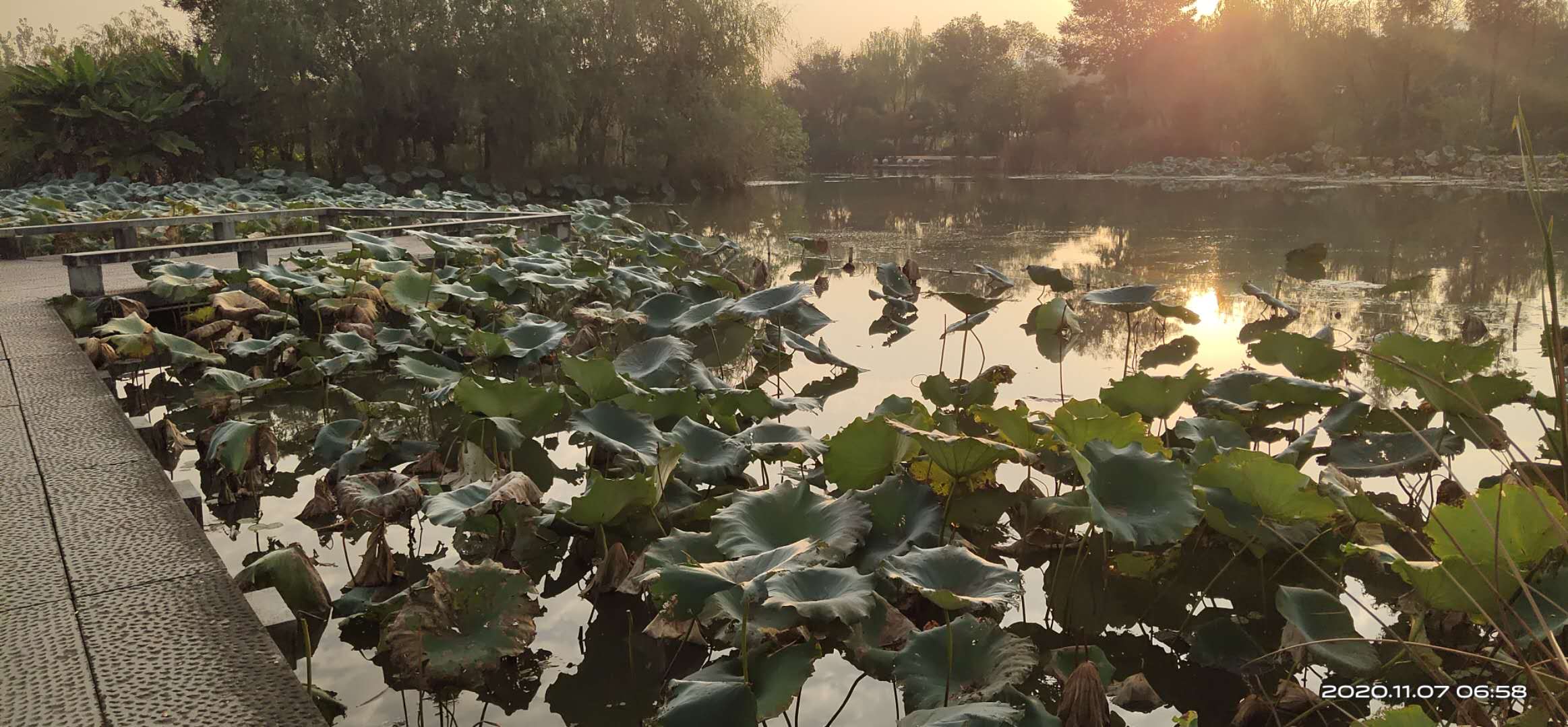 微信图片_20201107101419.jpg