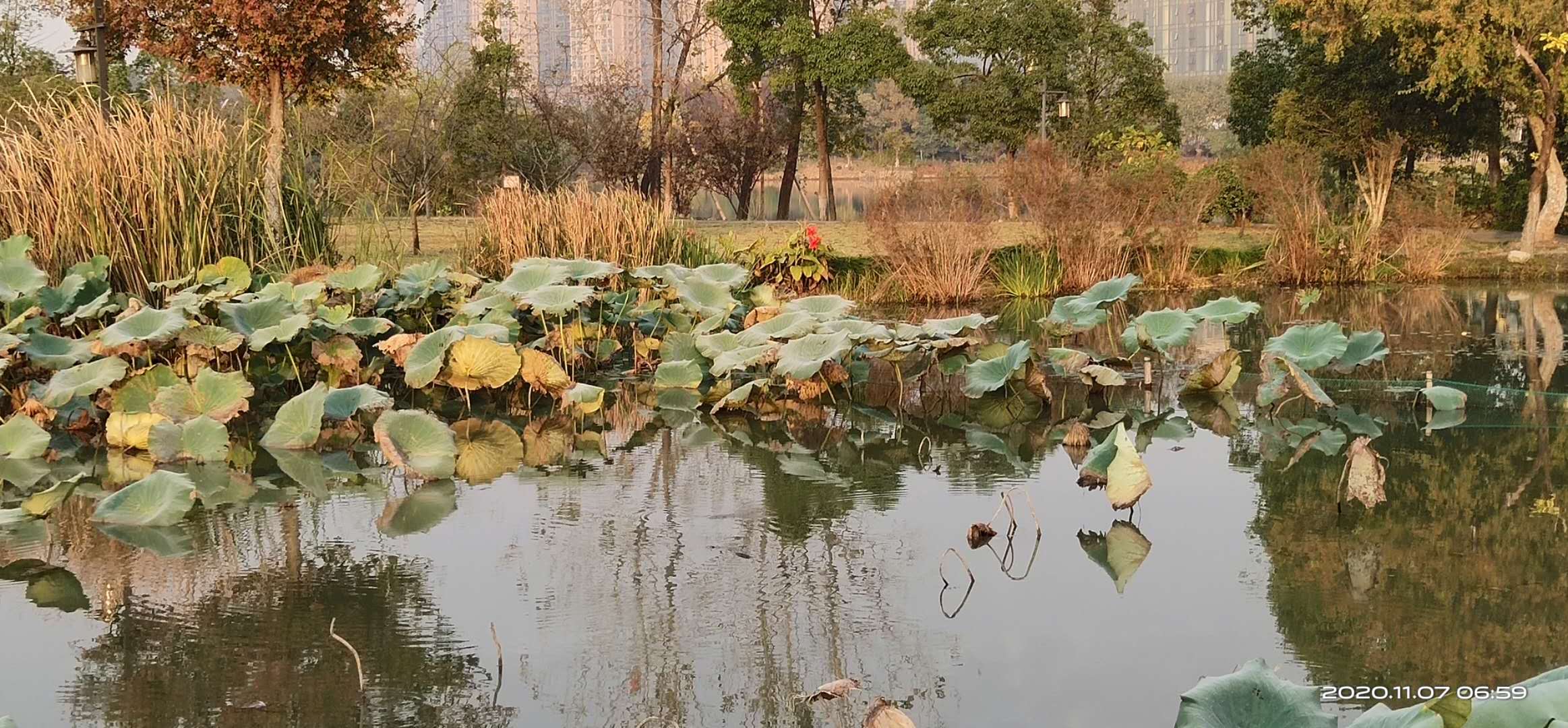 微信图片_20201107101425.jpg