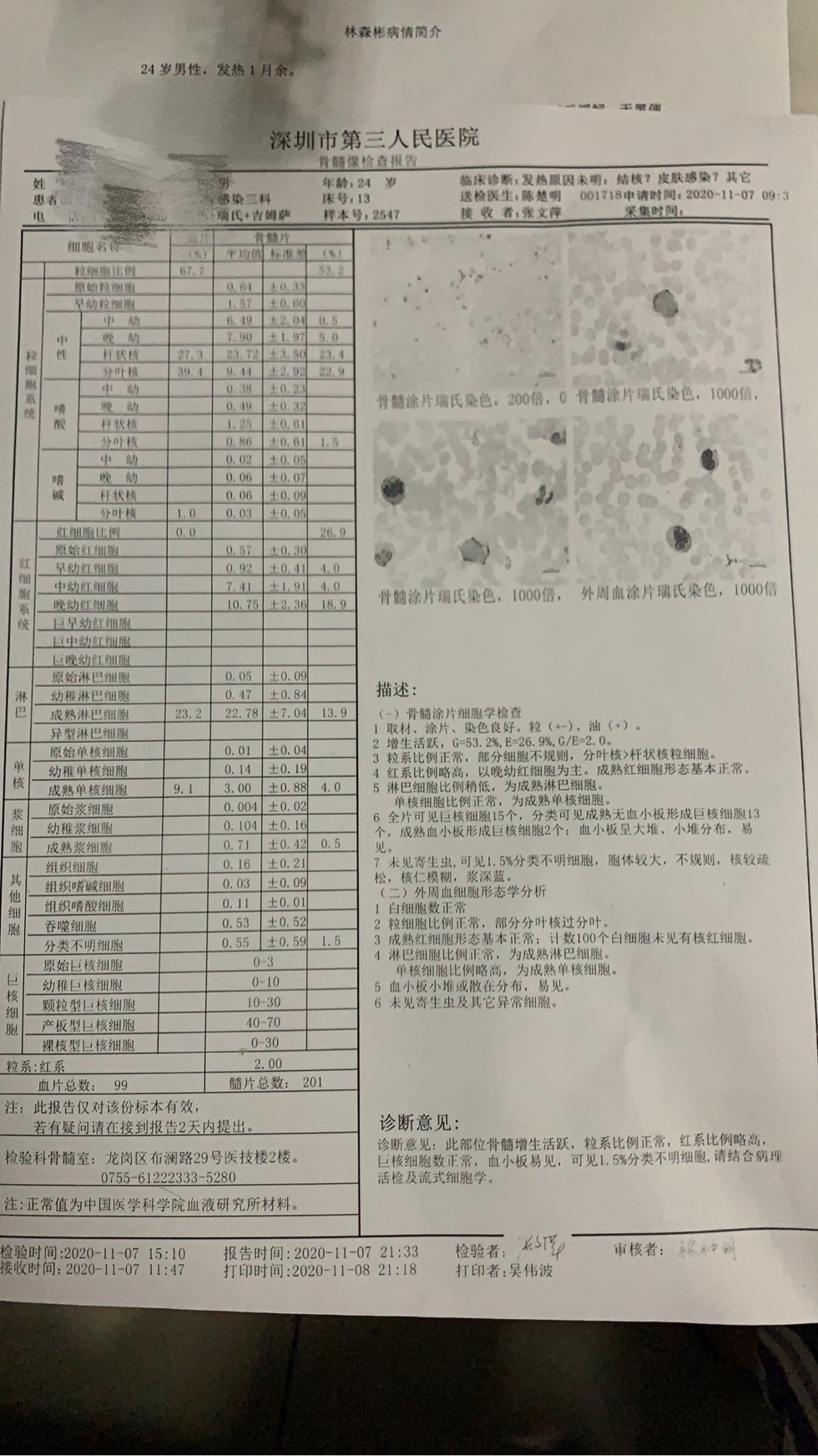 180756nlr402un9n9k2kkz.jpg