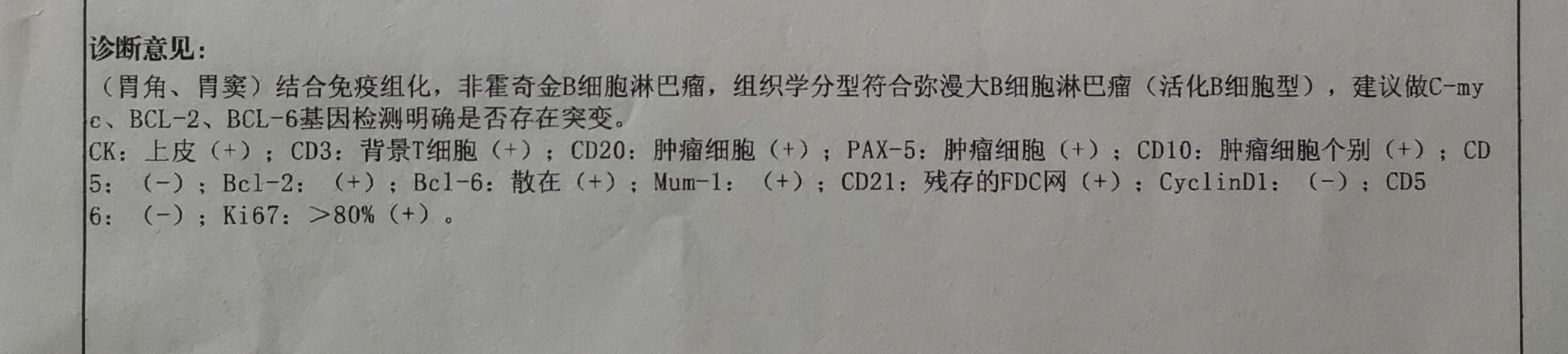 074146l1te69sj9stgmbt2.jpg