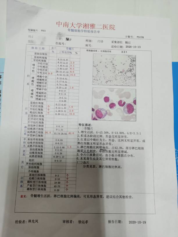 221245iqpqpo2q4ej681kp.jpg