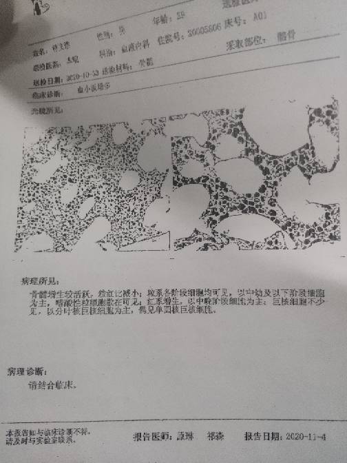 102925dp4d8rg1098gdft8.jpg