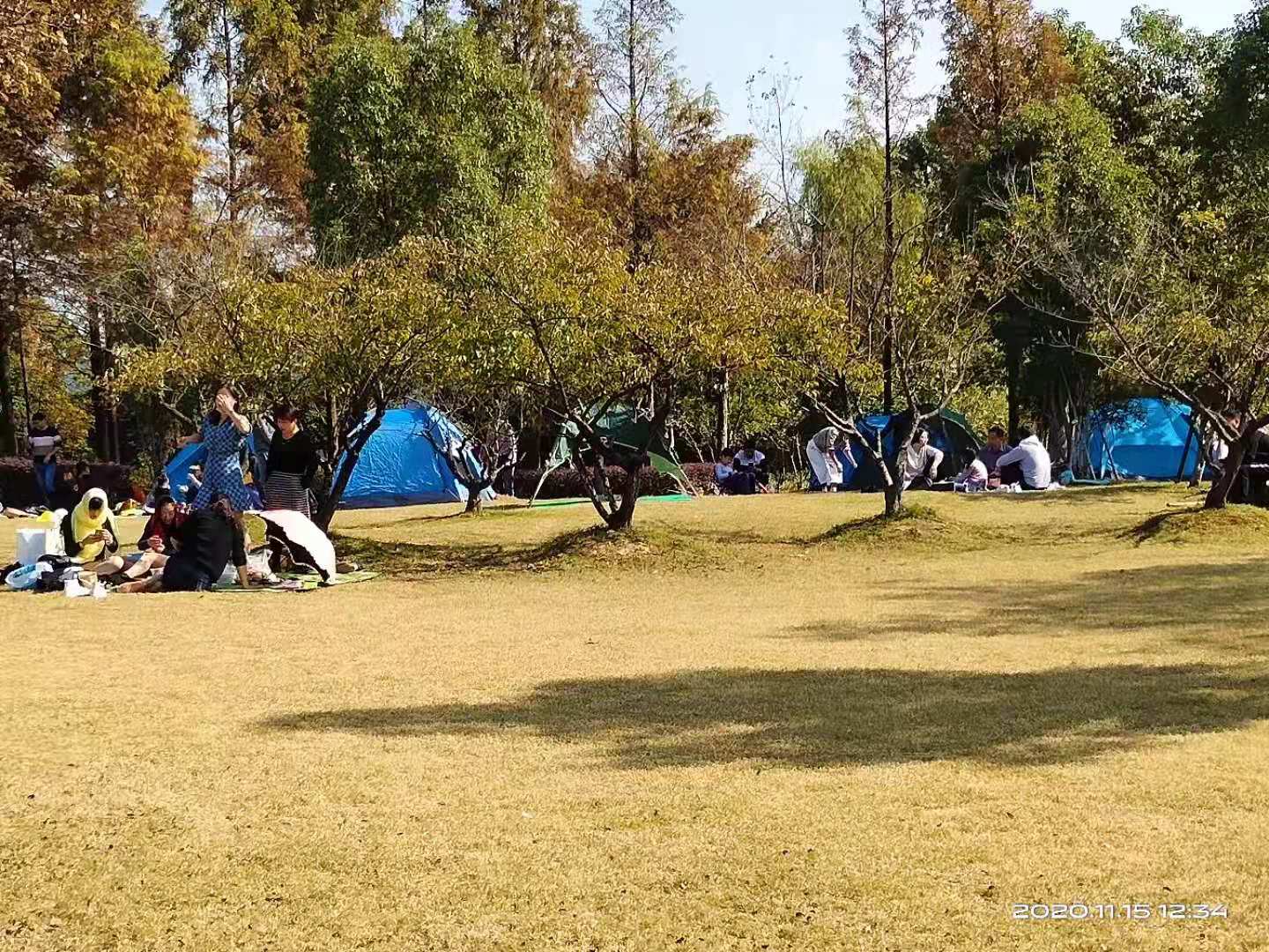 微信图片_20201121112607.jpg