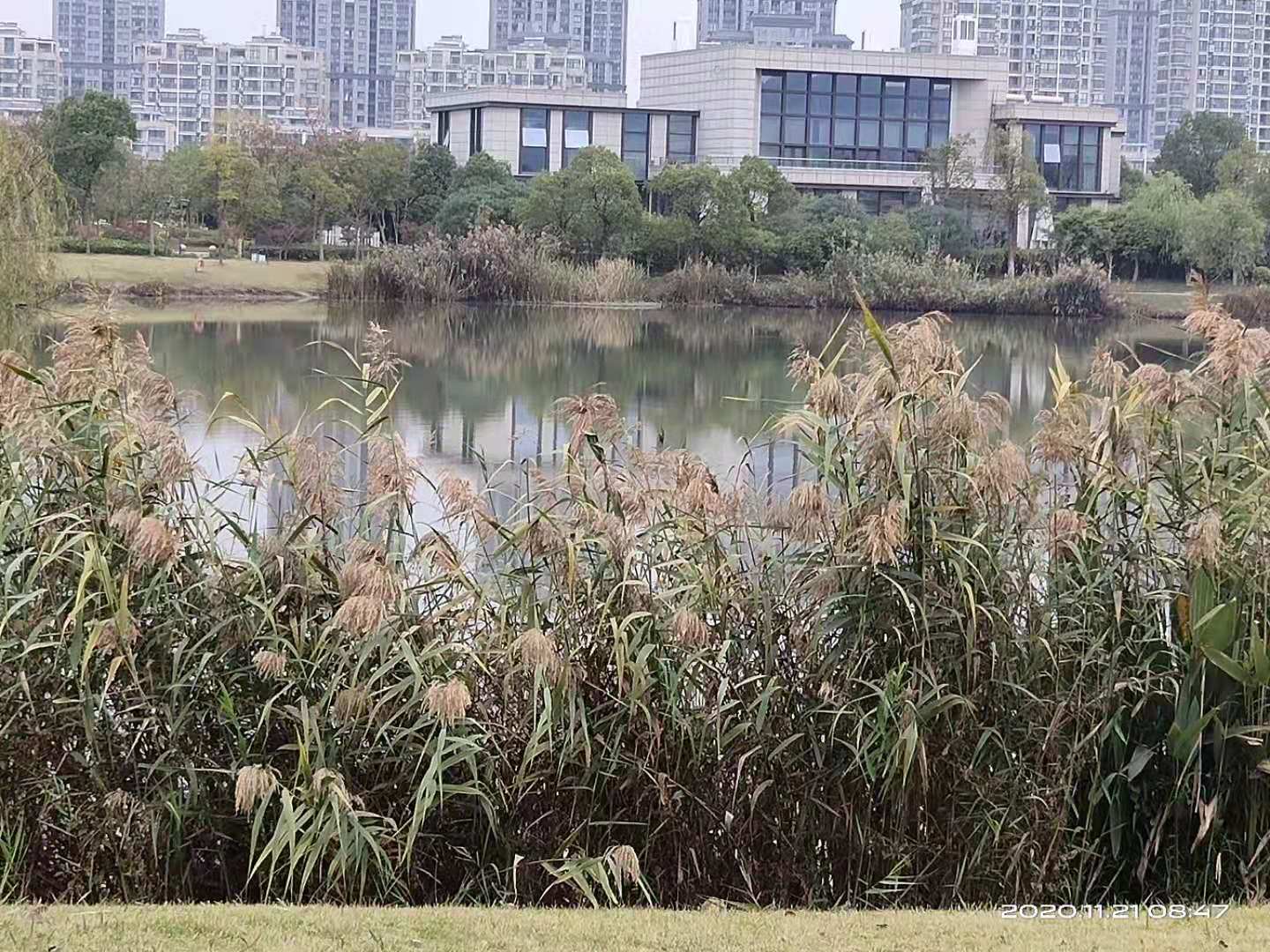 微信图片_20201121113839.jpg