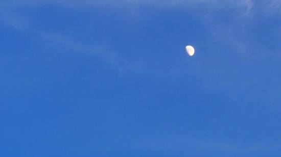 100016h4dd5zex7is90p90.jpg