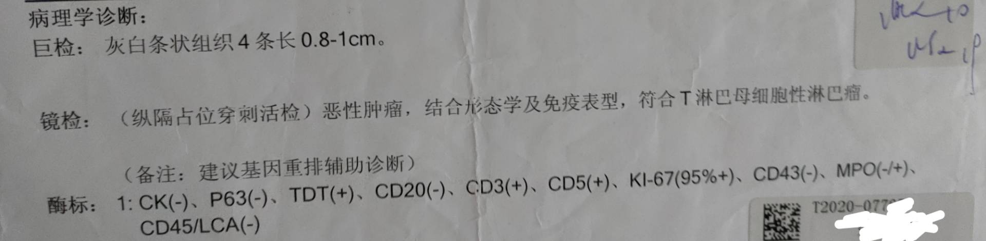 101049szrfzgga99sdcq44.jpg
