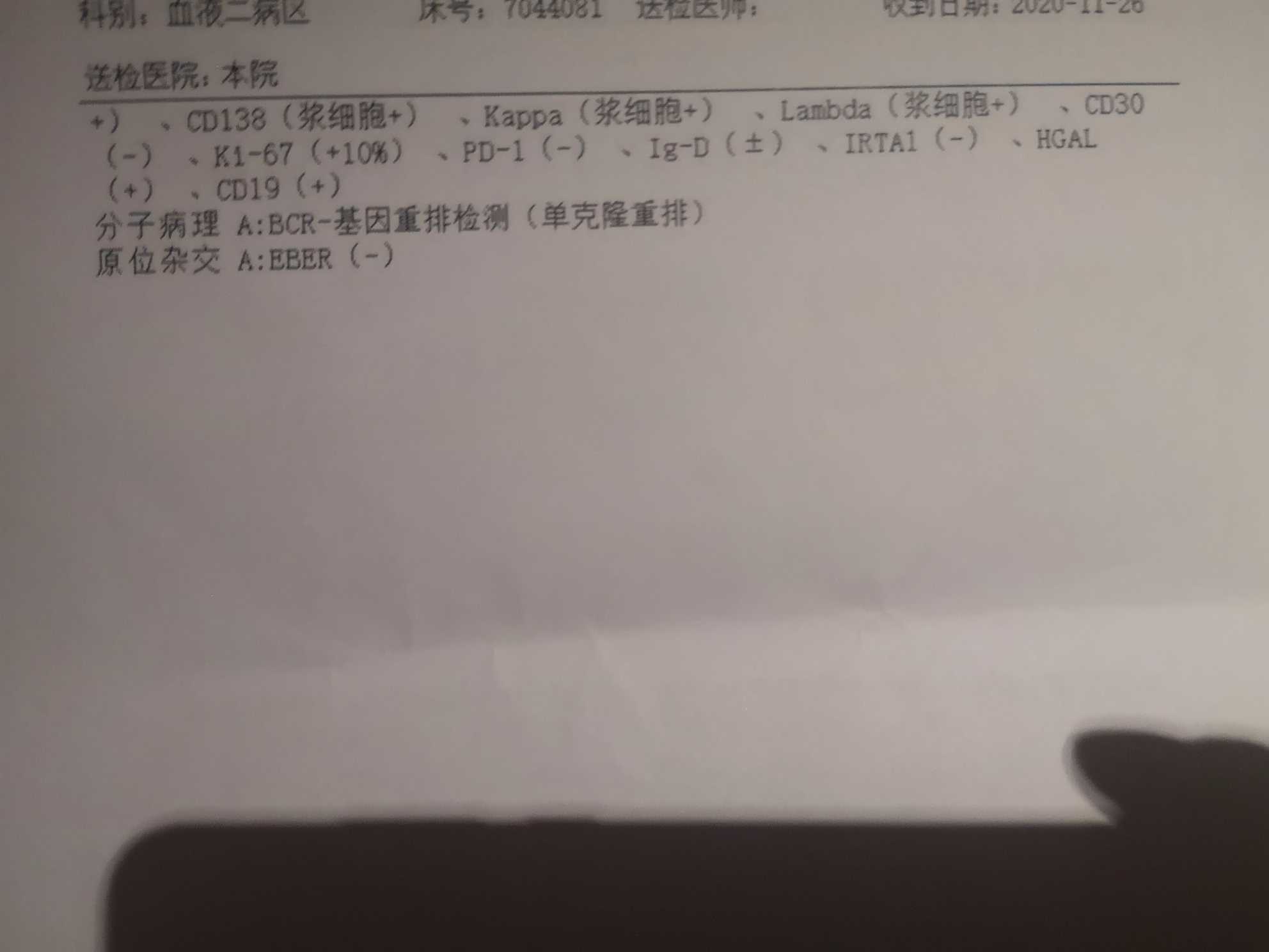215154p33w0tp0p7ocgv15.jpg