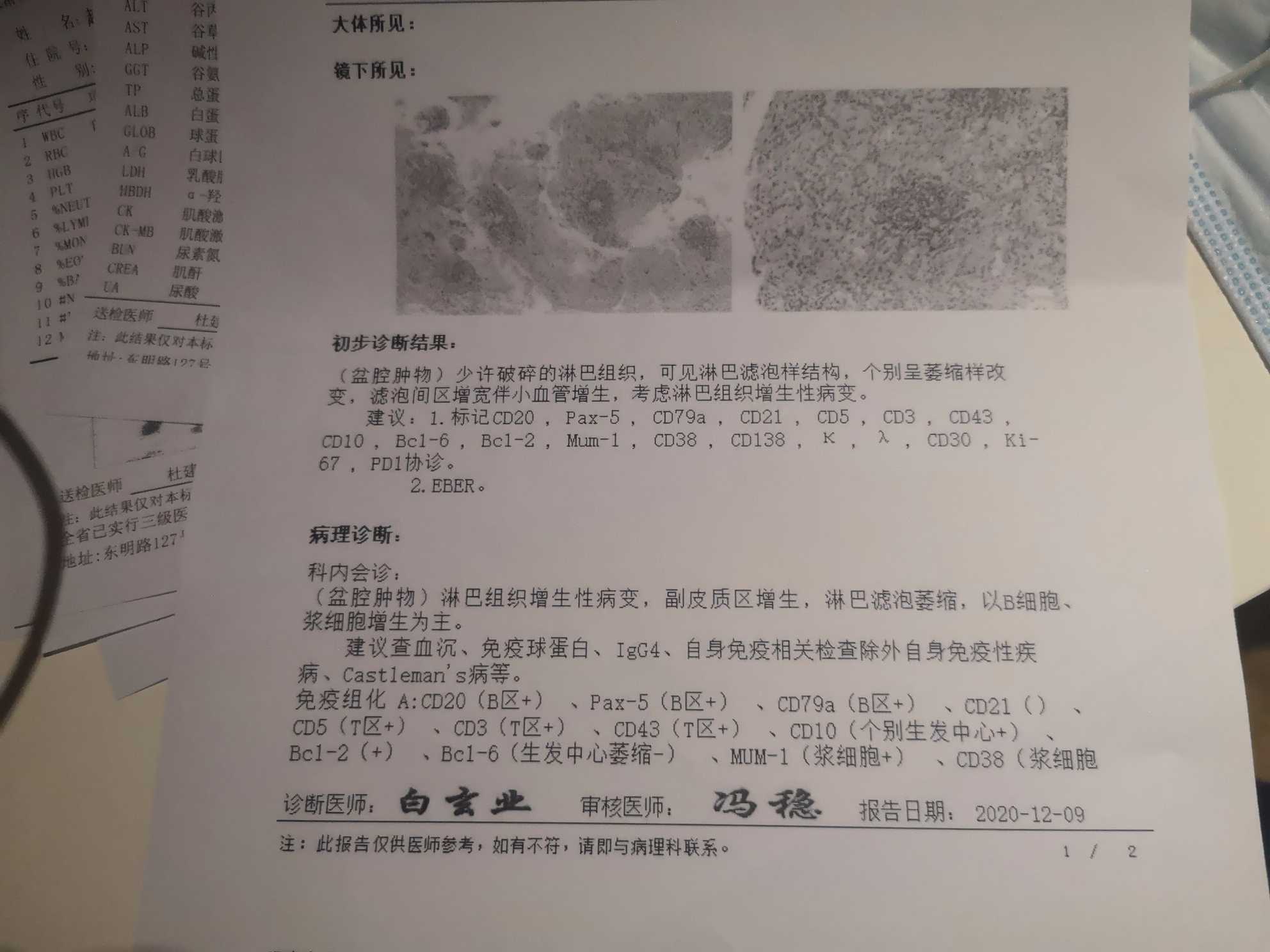 215154xzriv9n6hhn68nhp.jpg