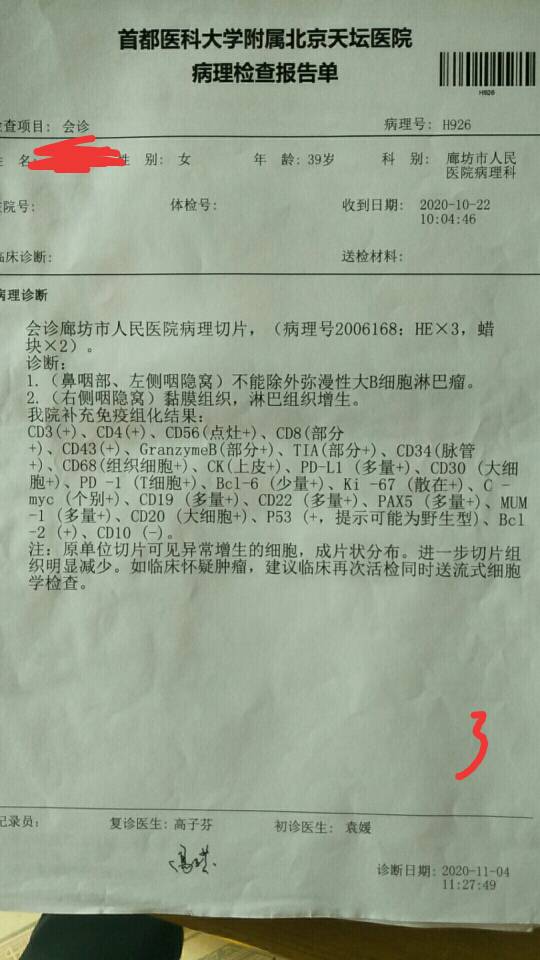 135927l9n201im19sp2982.jpg