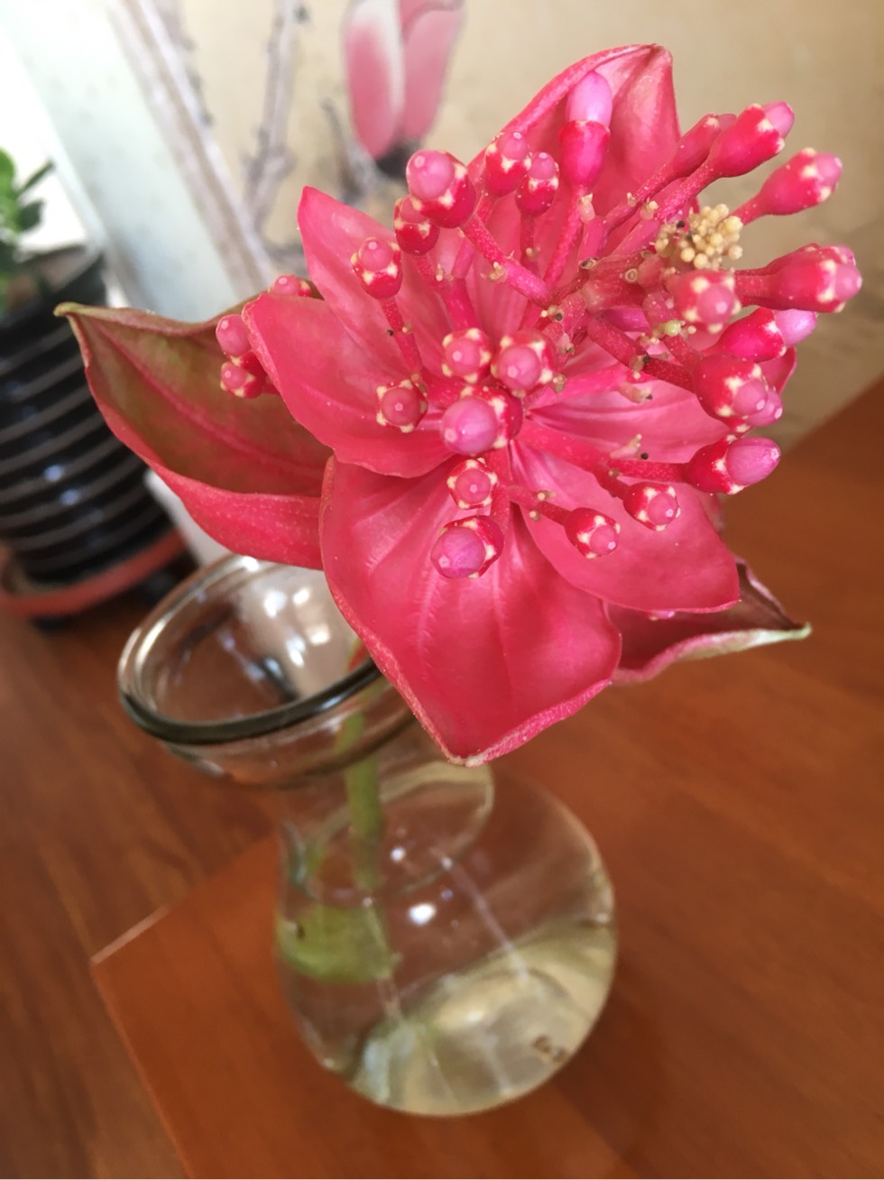 113338hbbtysn3ine9mm77.jpg