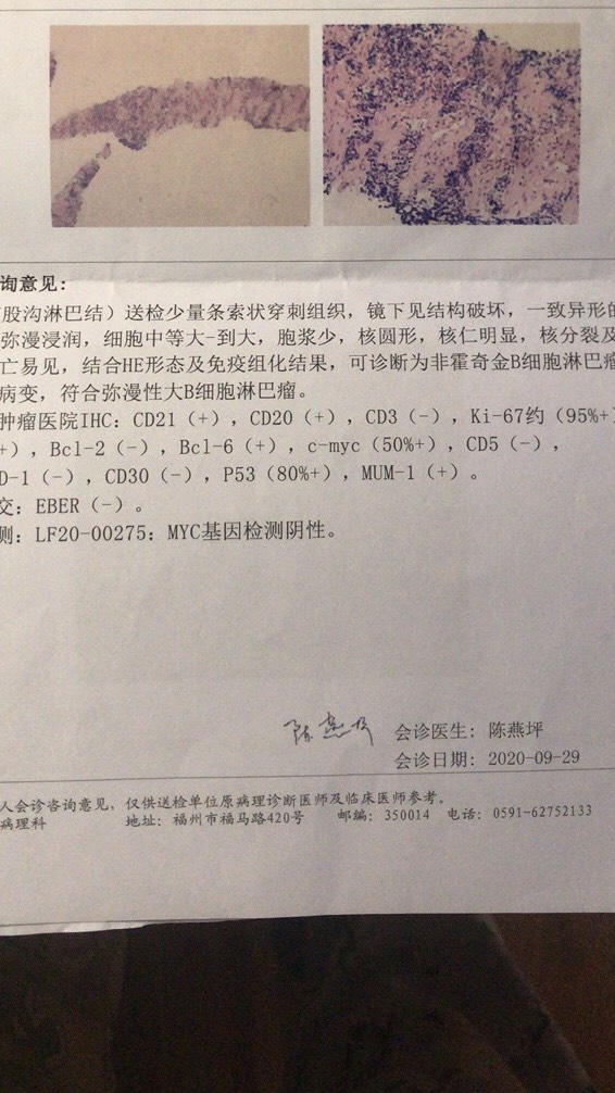 105751wqczhx2ylfhqf2yz.jpg