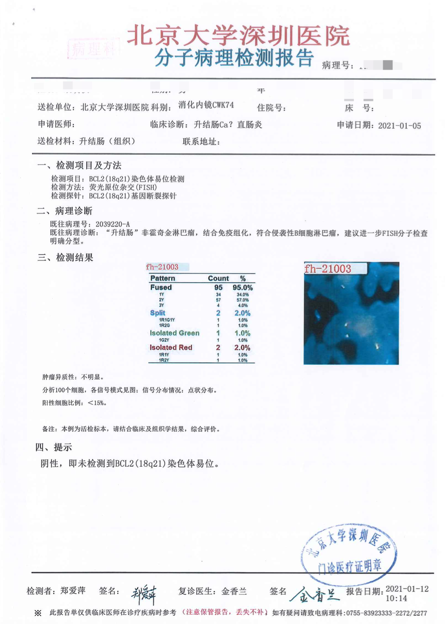 第二次病理报告3.png