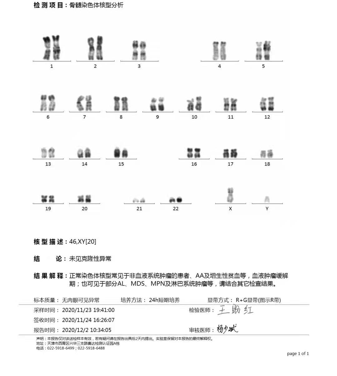 染色体检查.jpg