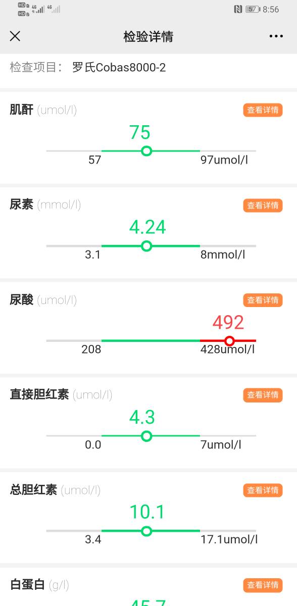 205900mdetpdydpsxyst3l.jpg