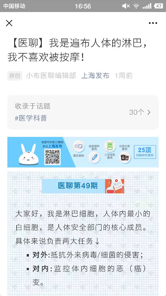 170108zi7nz2p6gsgpc7iz.png