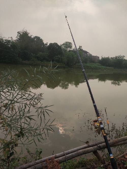 082714ky5bynx536s3qvvy.jpg