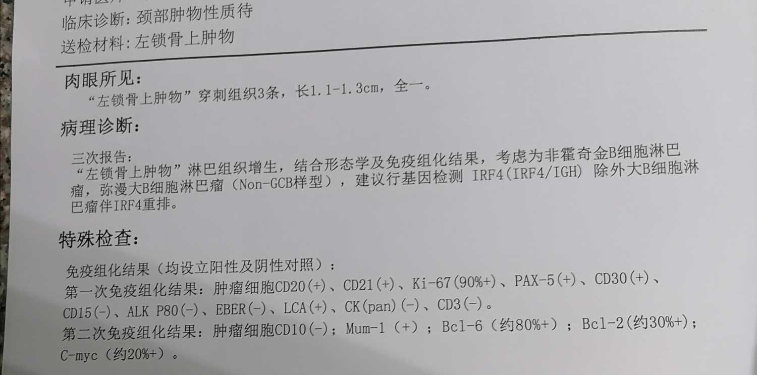 090734j03zdd803jck98jm.jpg