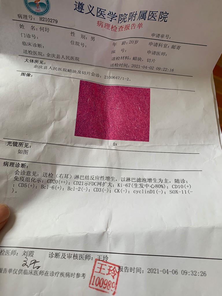075324gumafu53404zcf34.jpeg