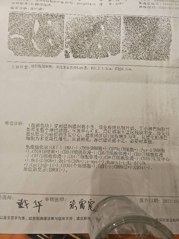 171735xfxvxg4rrg8rfbvu.jpg