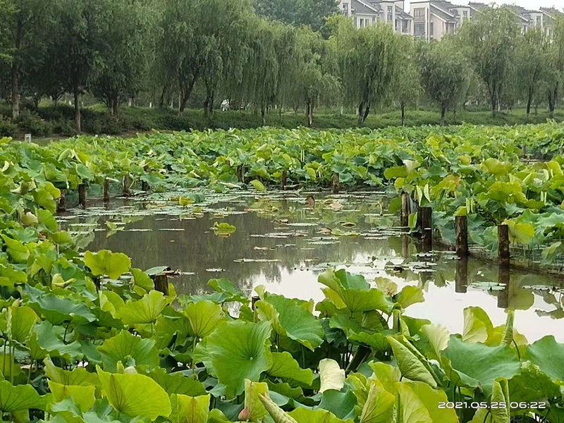 微信图片_20210525074336.jpg