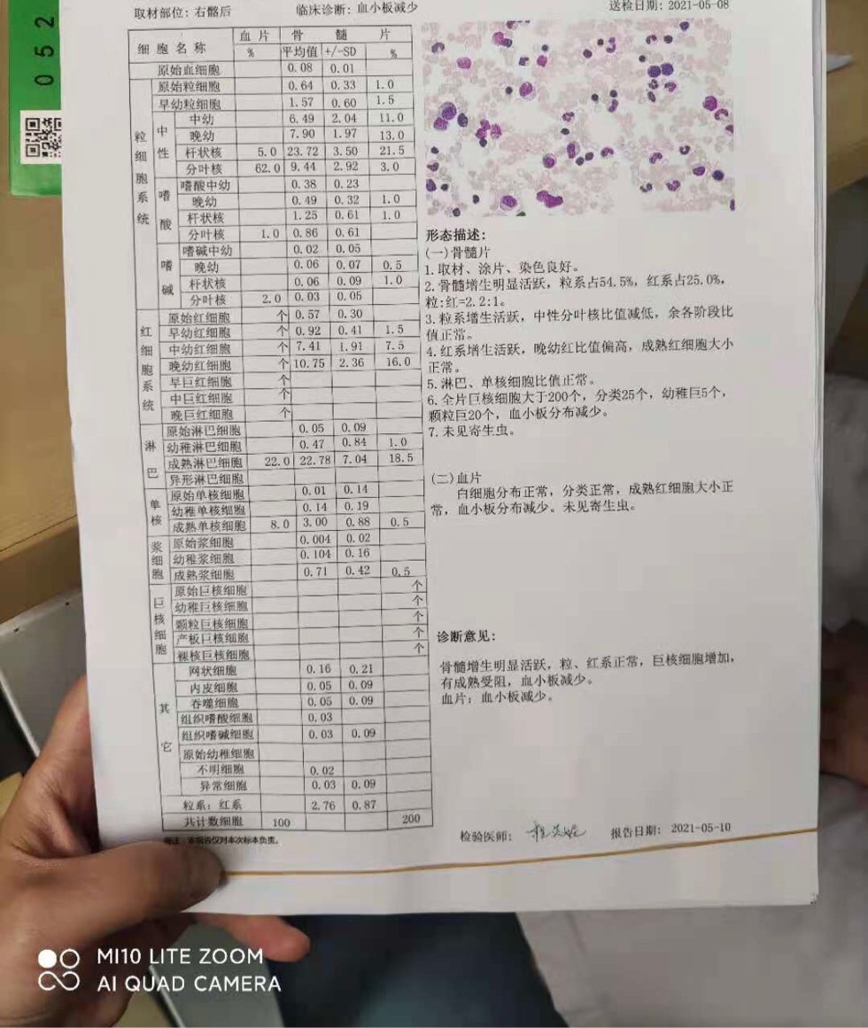 211707qfi1sssit0didhay.jpg