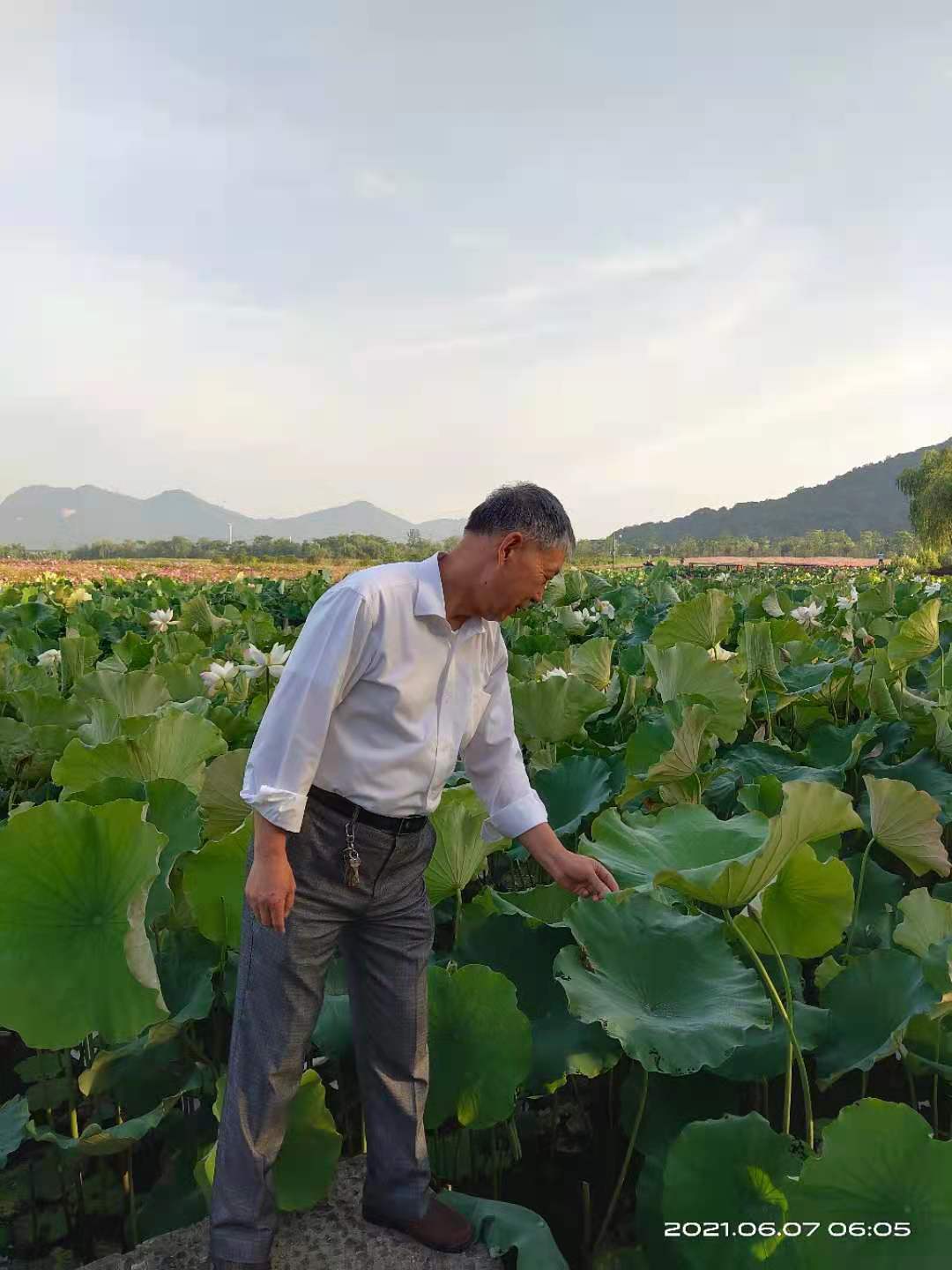 微信图片_20210607103436.jpg