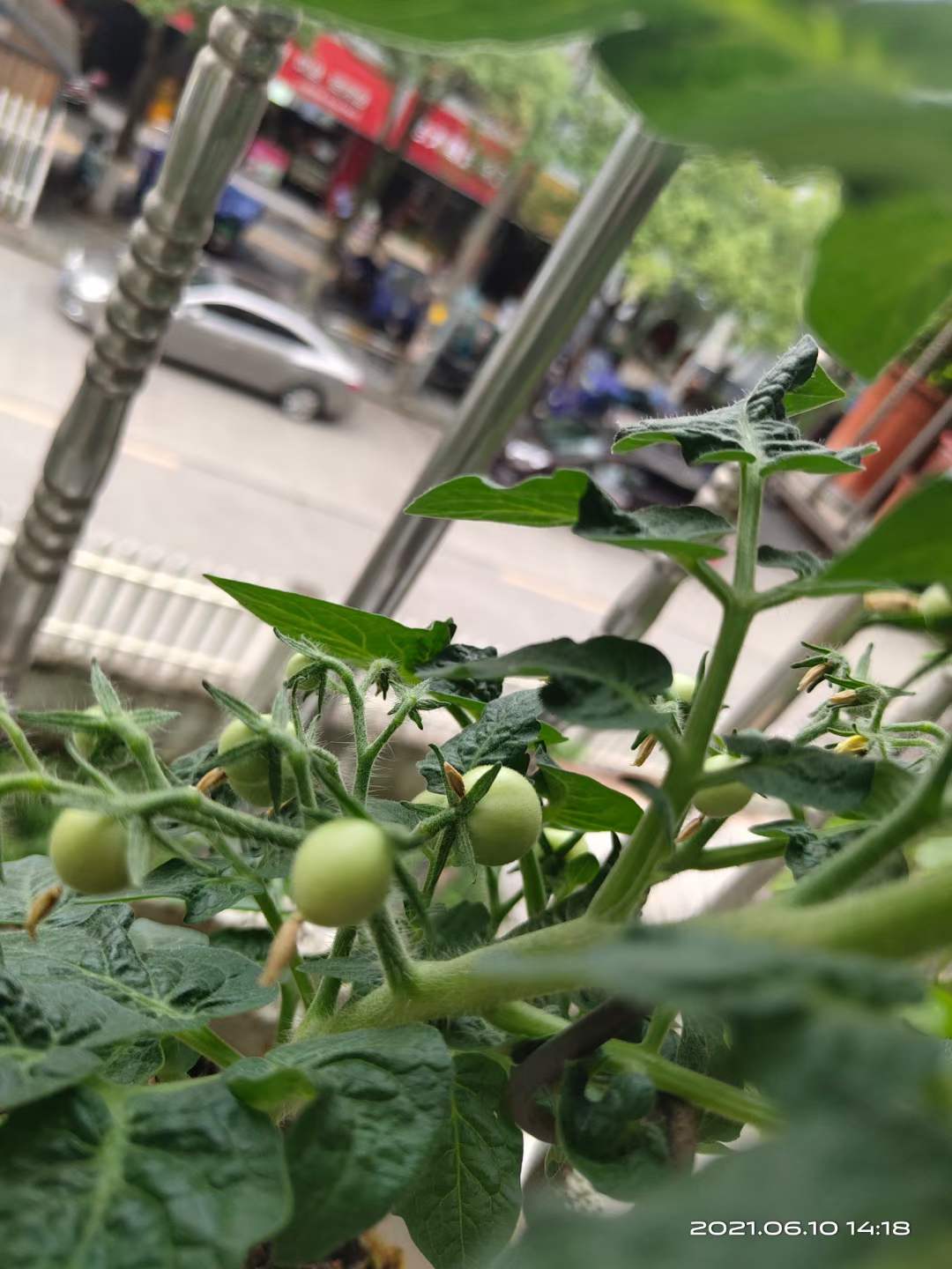 微信图片_20210610145351.jpg